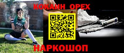 сатива Шебекино