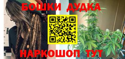 сатива Шебекино