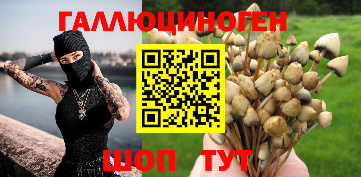 Псилоцибиновые грибы Cubensis Вышний Волочёк