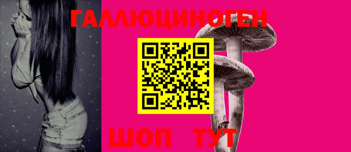 Вышний Волочёк  Псилоцибиновые грибы Cubensis  Вход с VPN 